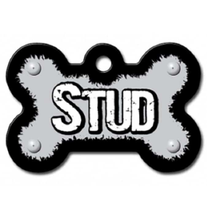 תג שם עצם STUD תג שם עצם לכלב STUD