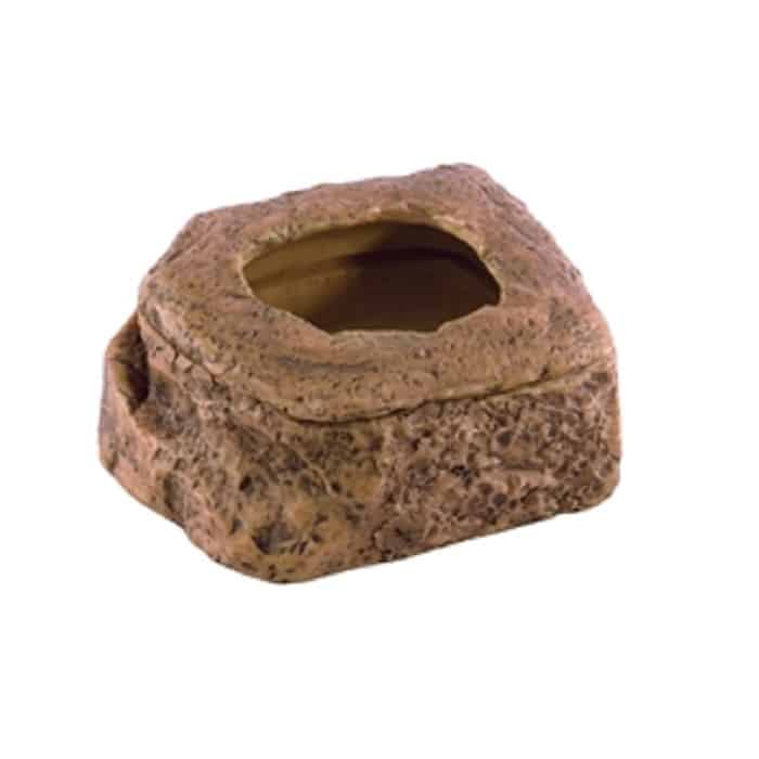 אקזוטרה צלחת תולעים
