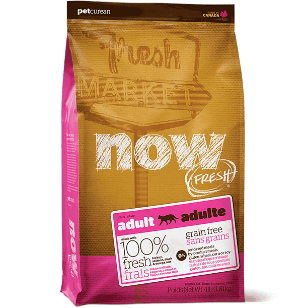 Now-Cat-Adult