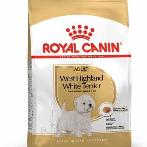 ווסט היילנד ווייט טרייר אדולט West Highland White Terrier Adult