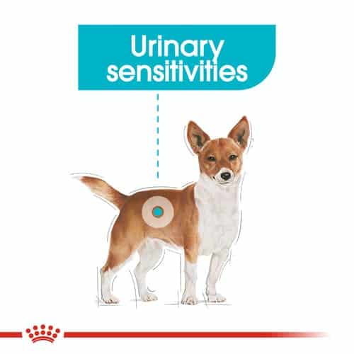 ccn-urinarymini-cv-eretailkit-1