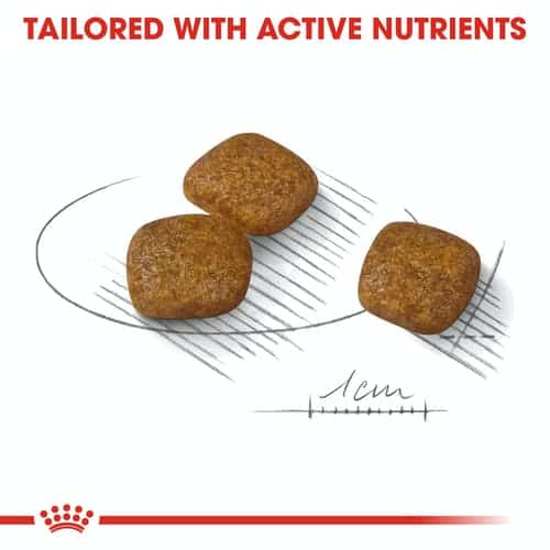 ccn-urinarymini-cv-eretailkit-4