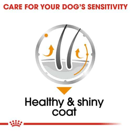 ccn-wet-coat-cv-eretailkit-3