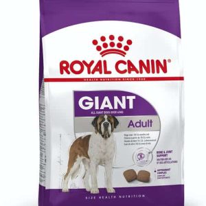 ג׳יאנט אדולט Giant Adult