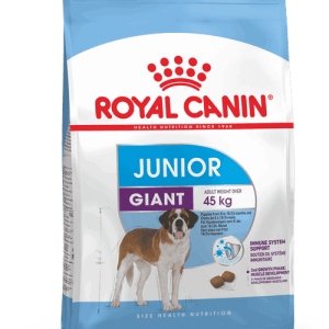 ג׳איינט ג׳וניור Giant Junior