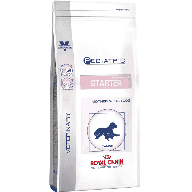 pediatric-starter-dog-medium