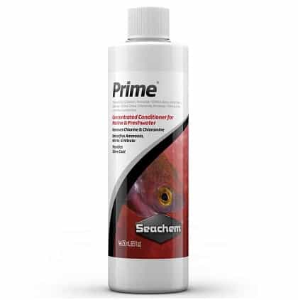 prime