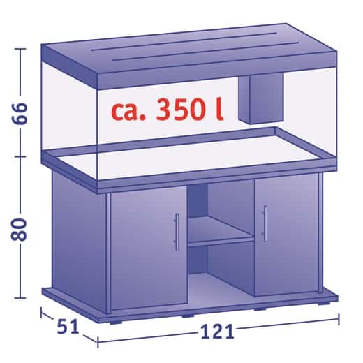 Layout 1