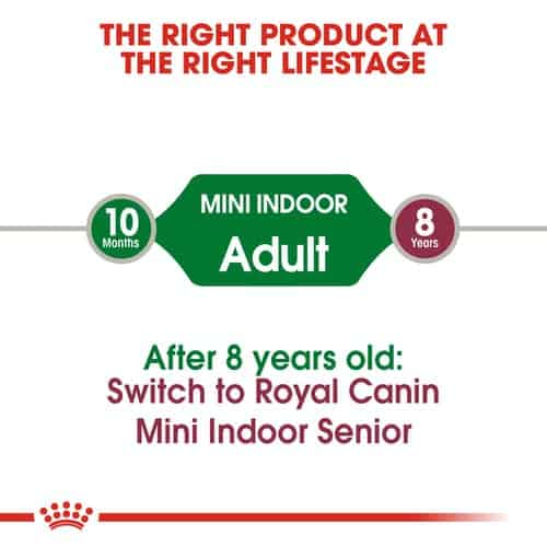 shn-miniindooradult-cv-eretailkit-1
