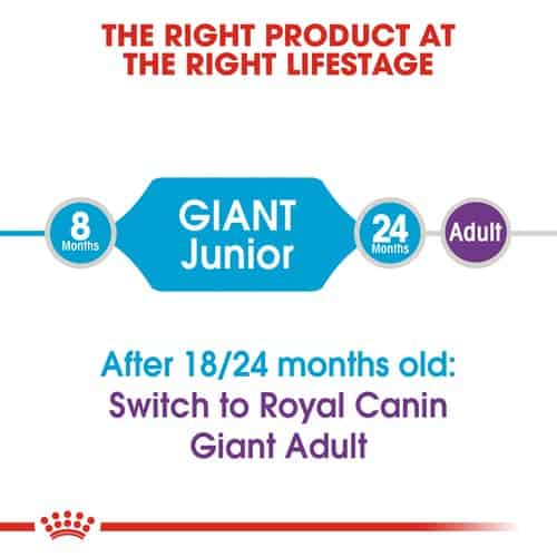 shn-puppygiantjunior-cv-eretailkit-1