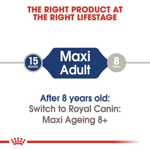 shn-wet-maxiadult-cv-eretailkit-1