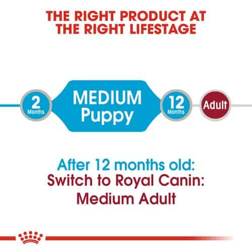 shn-wet-mediumpuppy-cv-eretailkit-1