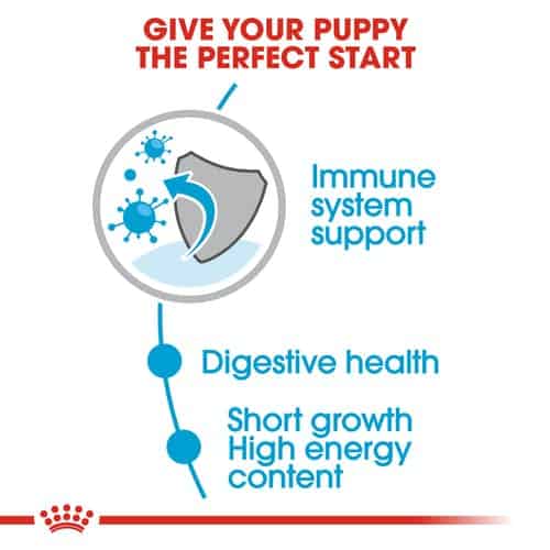 shn-wet-mediumpuppy-cv-eretailkit-2