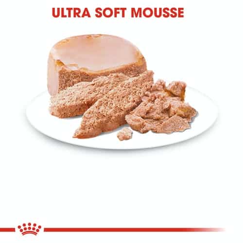 shn-wet-startermousse-cv-eretailkit-3