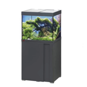 אקווריום מים מתוקים אהיים