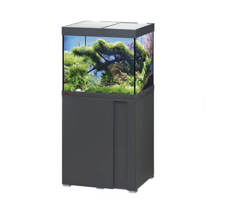 אקווריום מים מתוקים אהיים