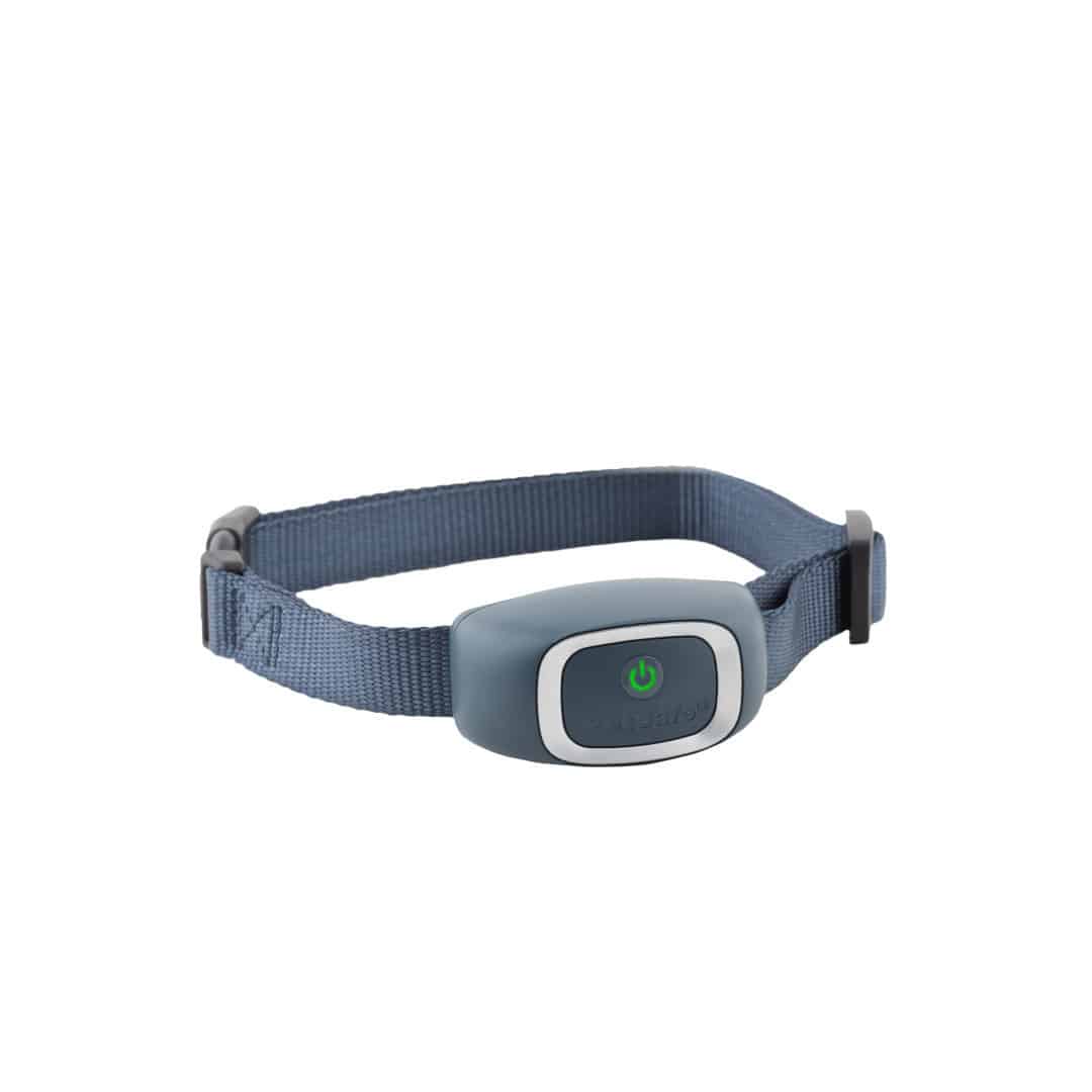 bark_control_pd_collar_hero_2