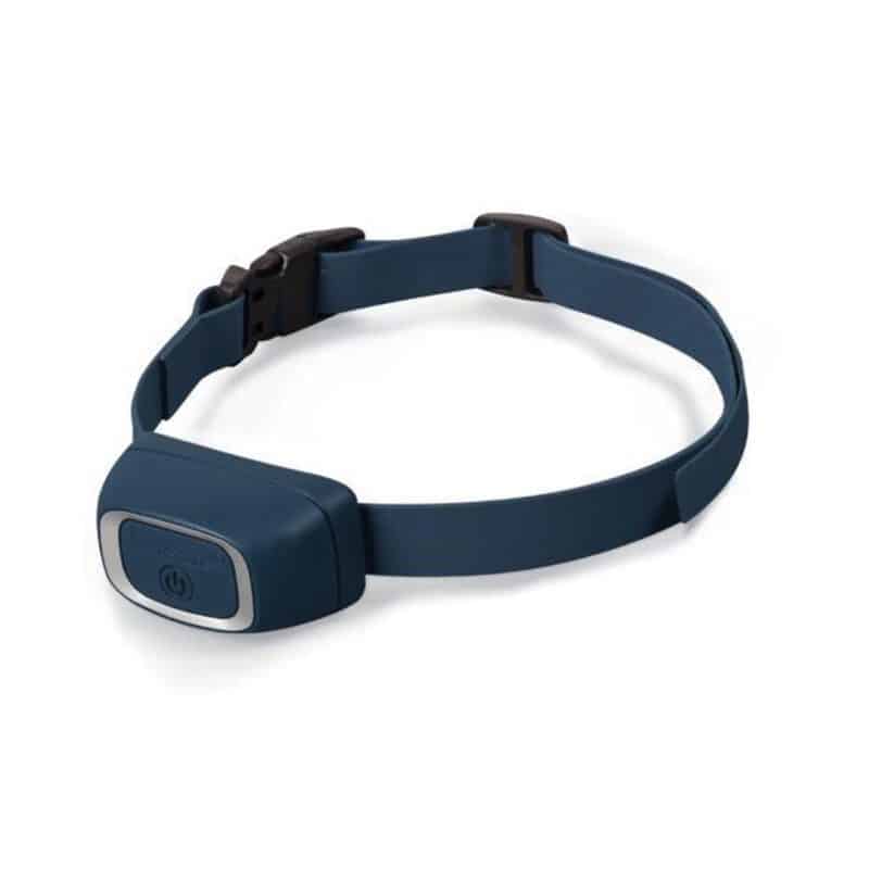 collier-anti-aboiement-rechargeable-pbc-19-16001-800x800