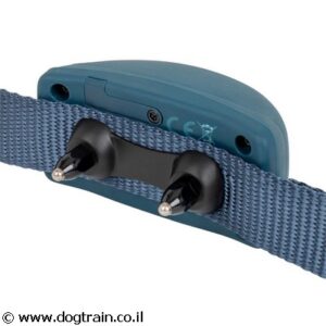 petsafe-new-generation-big-dogs-front-300x300