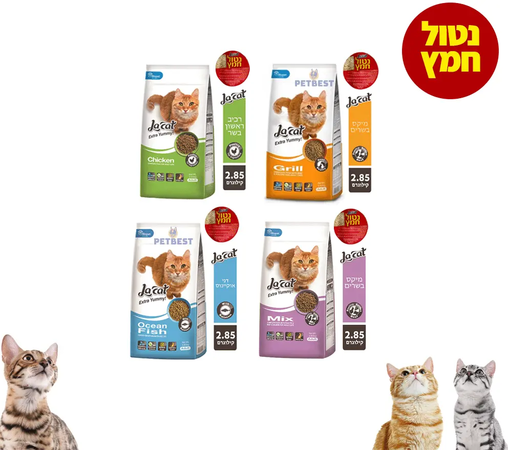 לקט מזון נטול חמץ פטבסט