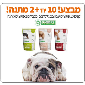 מבצע פאוצים נייצר פרוטקשן לכלבים פטבסט
