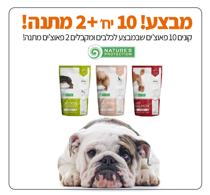 מבצע פאוצים נייצר פרוטקשן לכלבים פטבסט