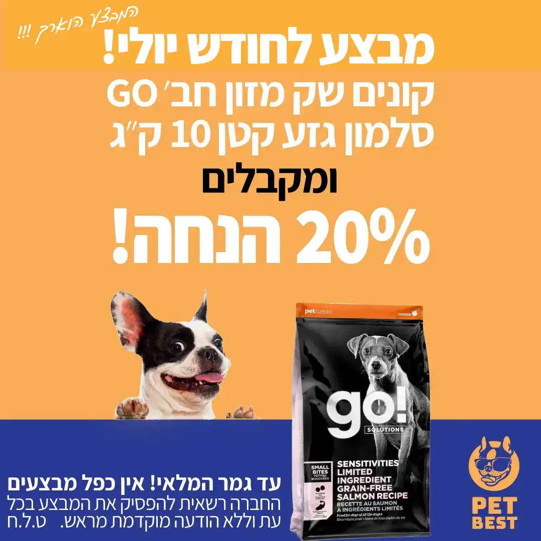 ניוזלטר-מבצע-גו-כלב-גזע-קטן-20-אחוז-הנחה-לחודש-יולי