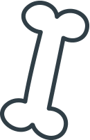 עצם