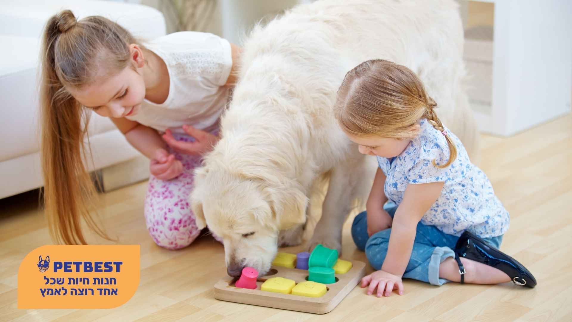 ילדות וכלב
