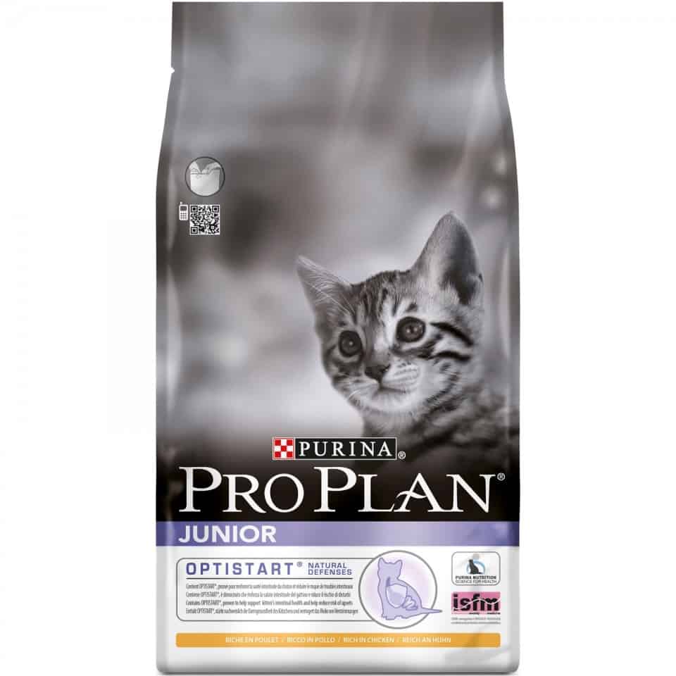 promo-package-pro-plan-cats-junior-chicken-1-5-kg-1-x-85-gr_6984