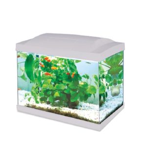אקווריום לד היילי קיי-30 לבן