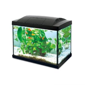 אקווריום לד היילי קיי-30 שחור