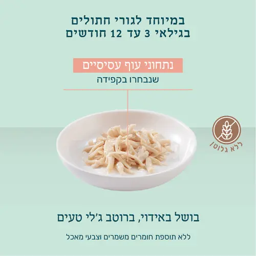 פאוץ שזיר -לגורי חתולים עוף בג'לי 85 גרם