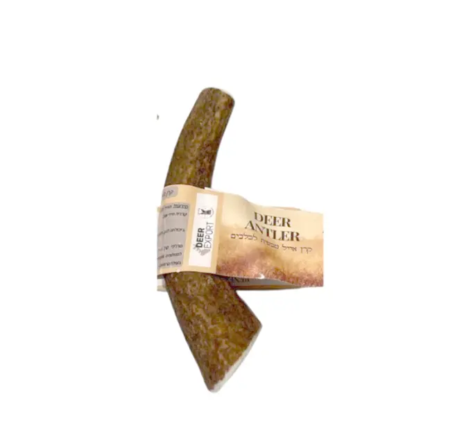 קרן -אייל אדומה טבעית