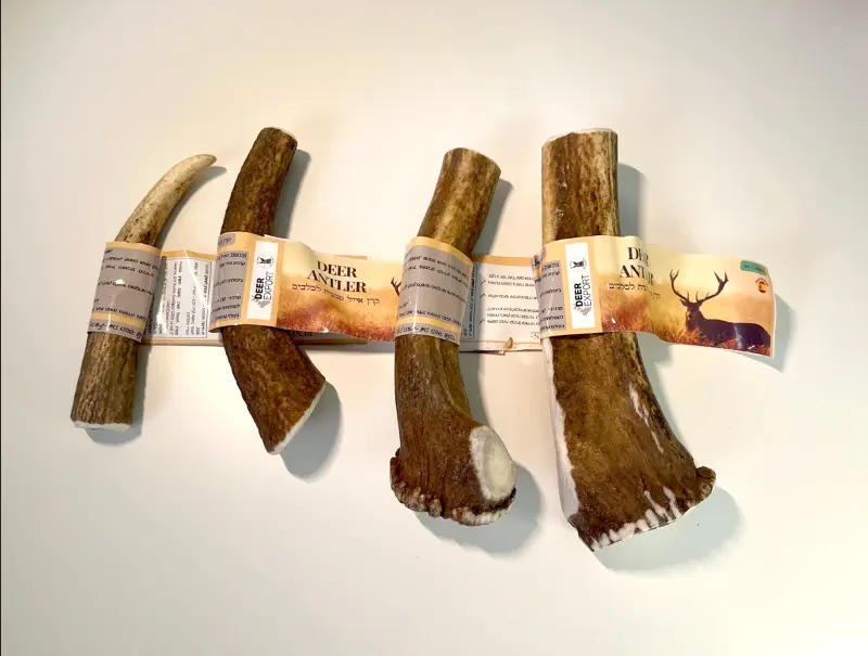 קרן -אייל טבעית