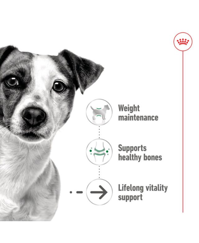 Royal-Canin-Mini-Ageing-8-Senior-Wet-Small-Dog-Food-Cans-In-Loaf-195g-9003579029701-2-