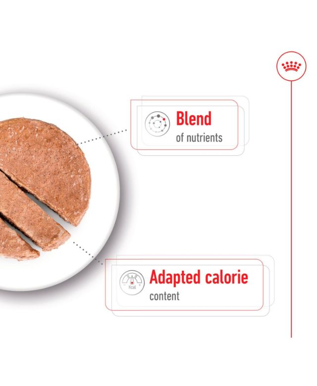 Royal-Canin-Mini-Ageing-8-Senior-Wet-Small-Dog-Food-Cans-In-Loaf-195g-9003579029701-3-