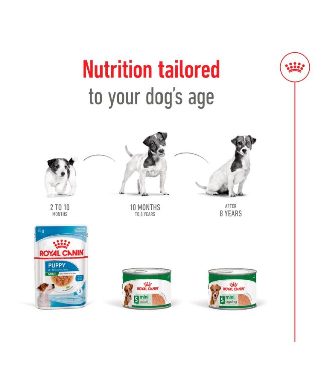 Royal-Canin-Mini-Ageing-8-Senior-Wet-Small-Dog-Food-Cans-In-Loaf-195g-9003579029701-4-