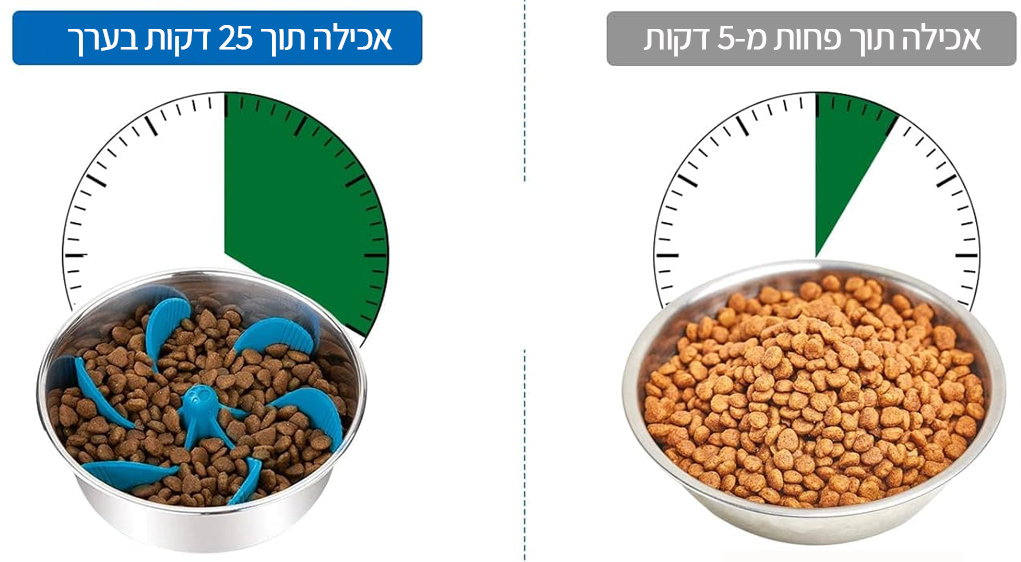 אכילה מהירה