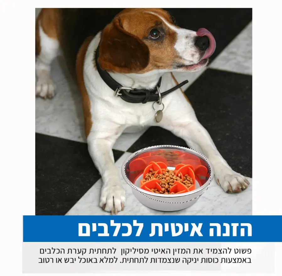 מזין-איטי לכלבים -מסיליקון -הנצמד- לקערת_האוכל