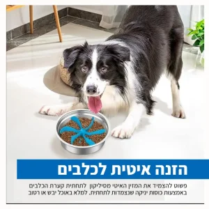 מזין איטי לכלבים מסיליקון הנצמד לקערת האוכל
